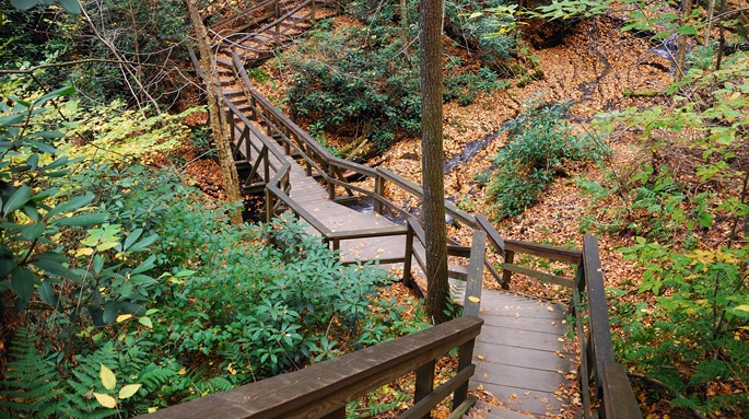 Naturpfad mit Wegmarkierung