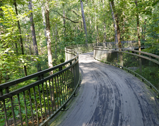 Naturpfad im Grünen